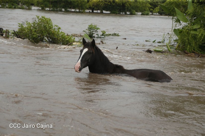 lluvias