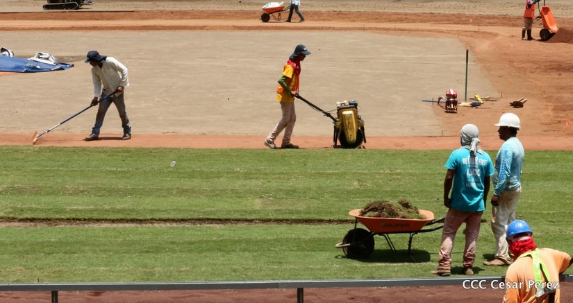 estadio