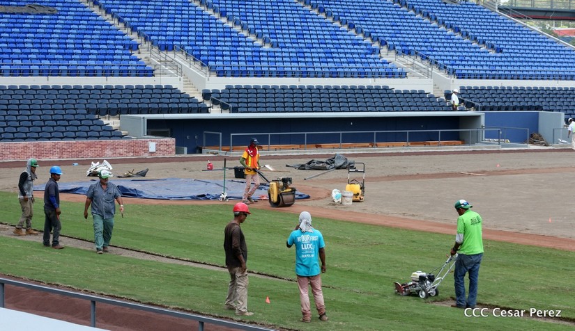 estadio