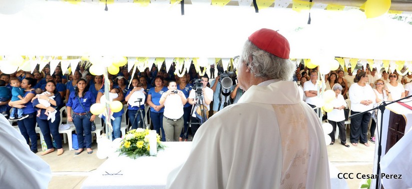 cardenal
