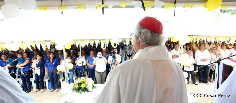 cardenal