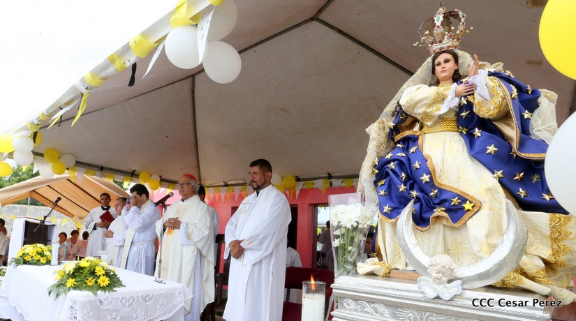 cardenal
