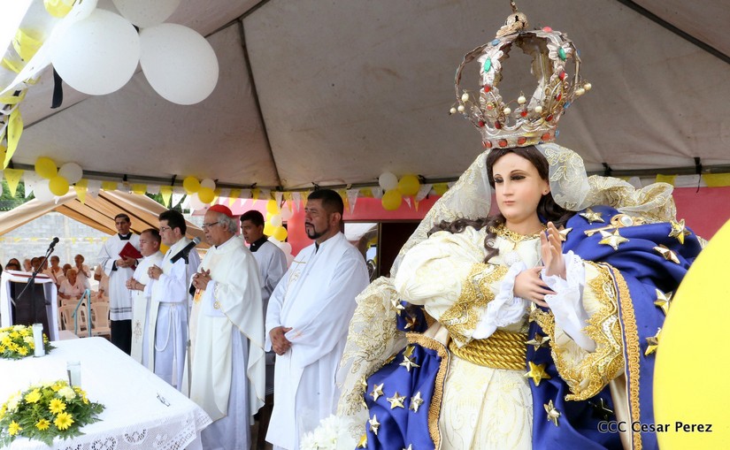cardenal
