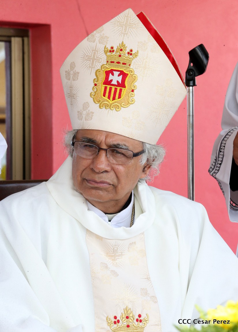 cardenal