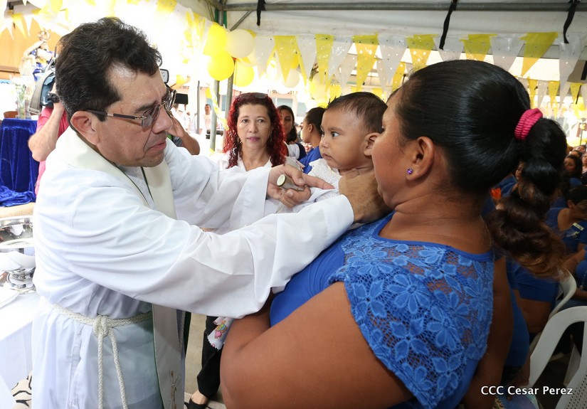 cardenal