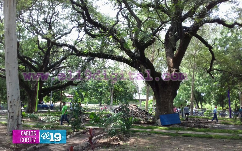 parque