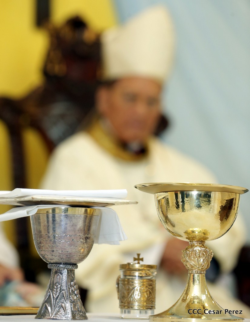 cardenal