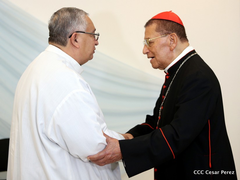 cardenal