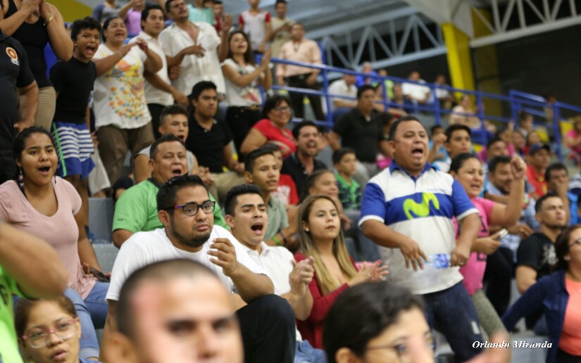 lucha