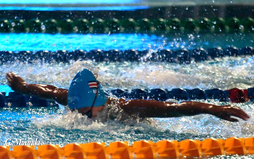 natacion