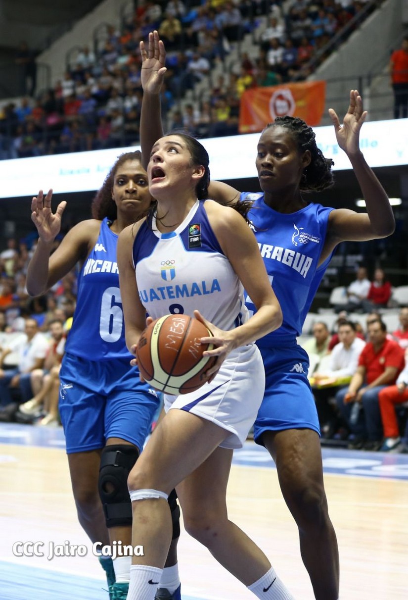 basket
