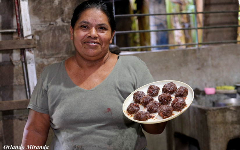 coyolito