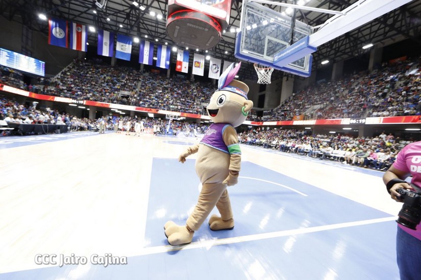 basket
