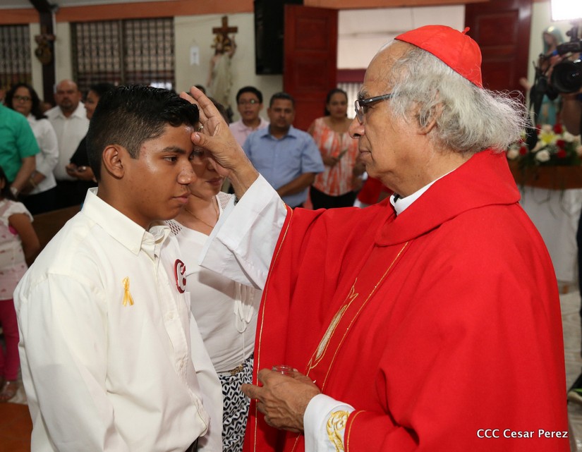 cardenal