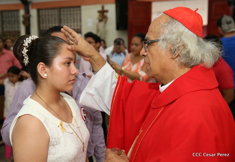 cardenal