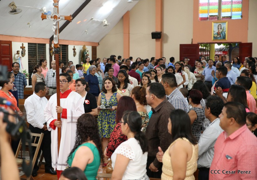 cardenal