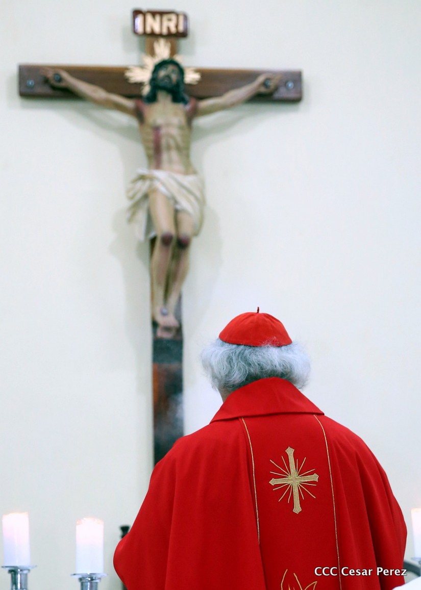 cardenal