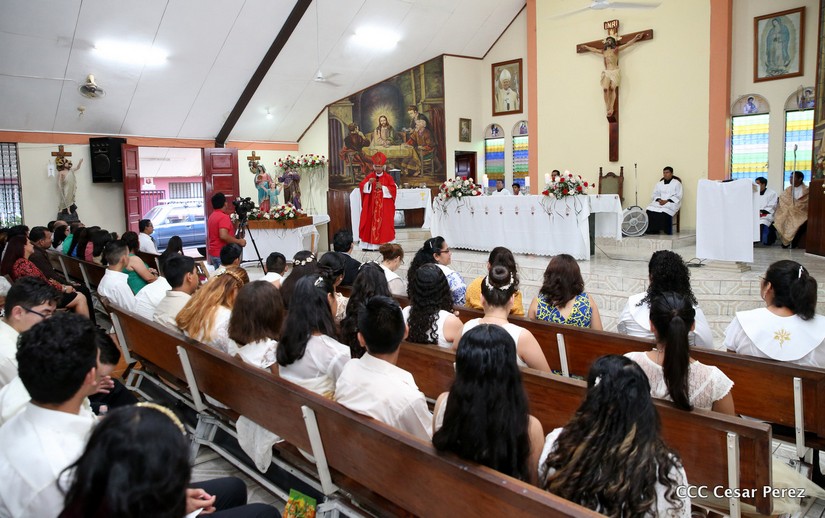 cardenal