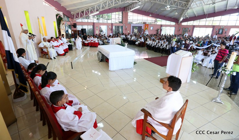 cardenal