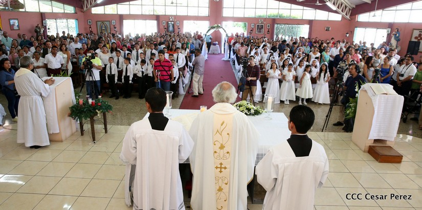 cardenal