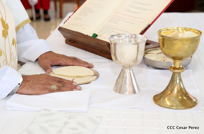 cardenal