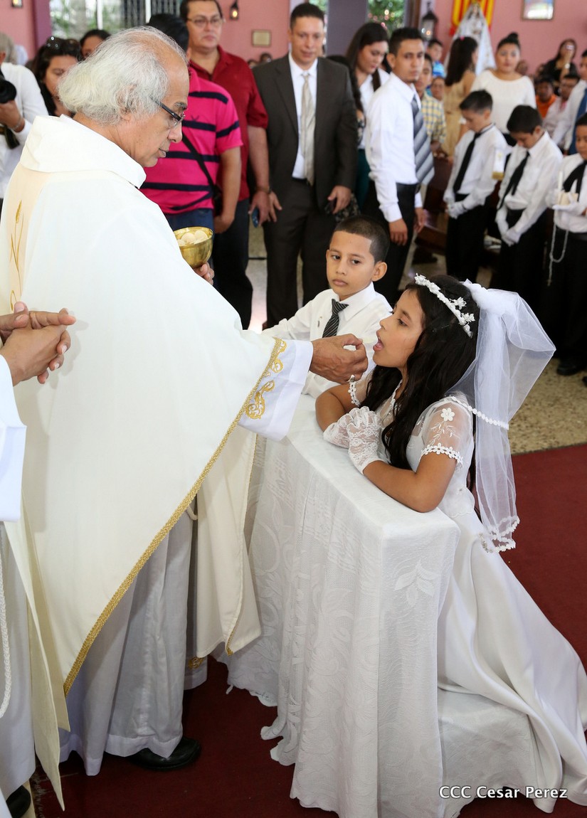 cardenal