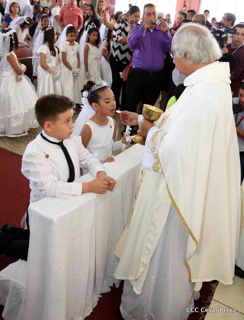 cardenal