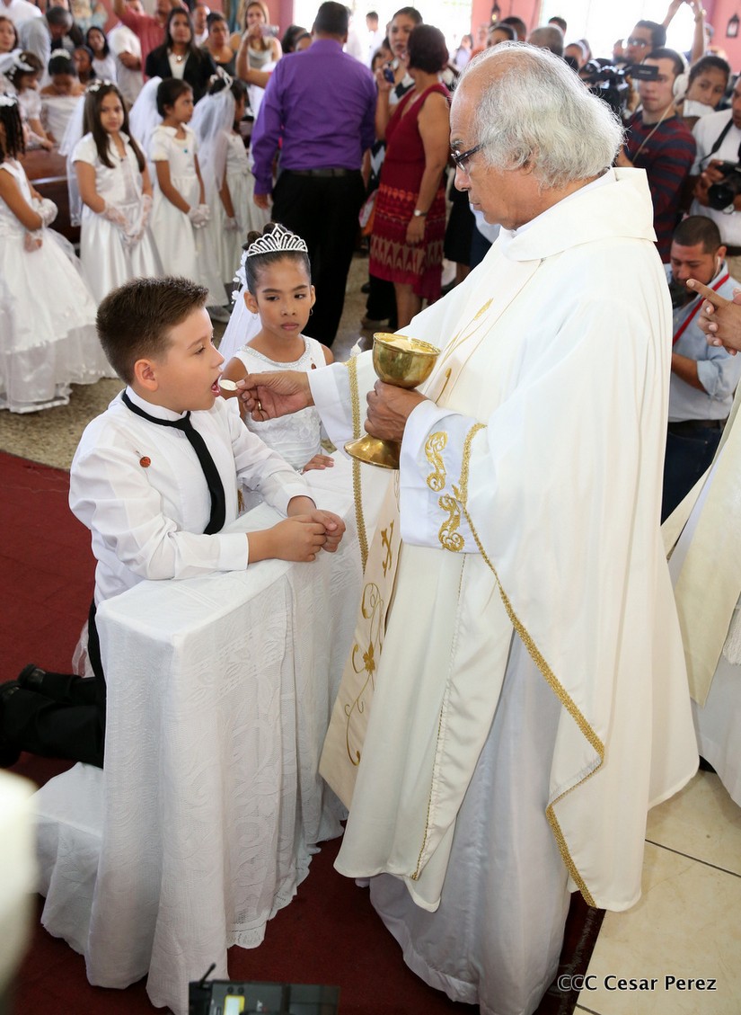 cardenal