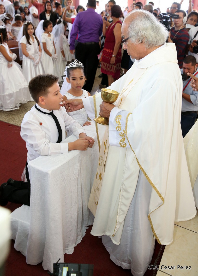 cardenal