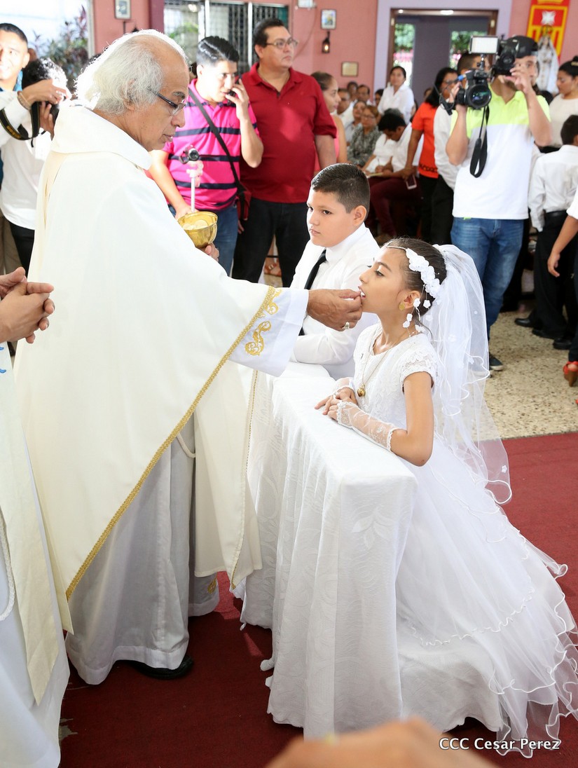 cardenal