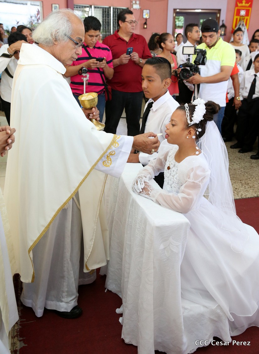 cardenal