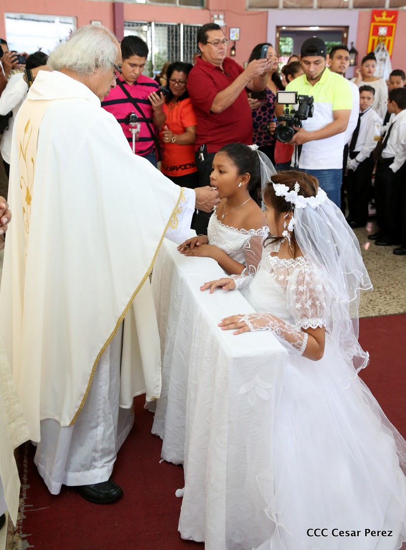 cardenal