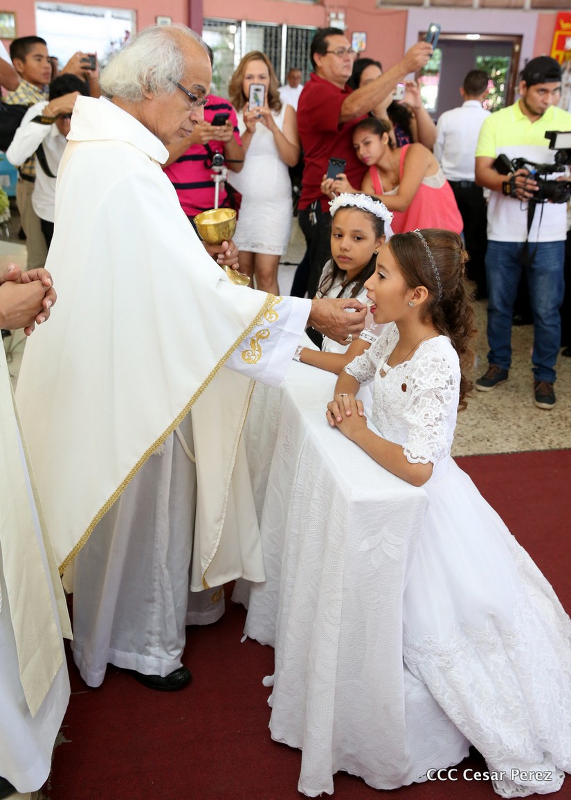 cardenal