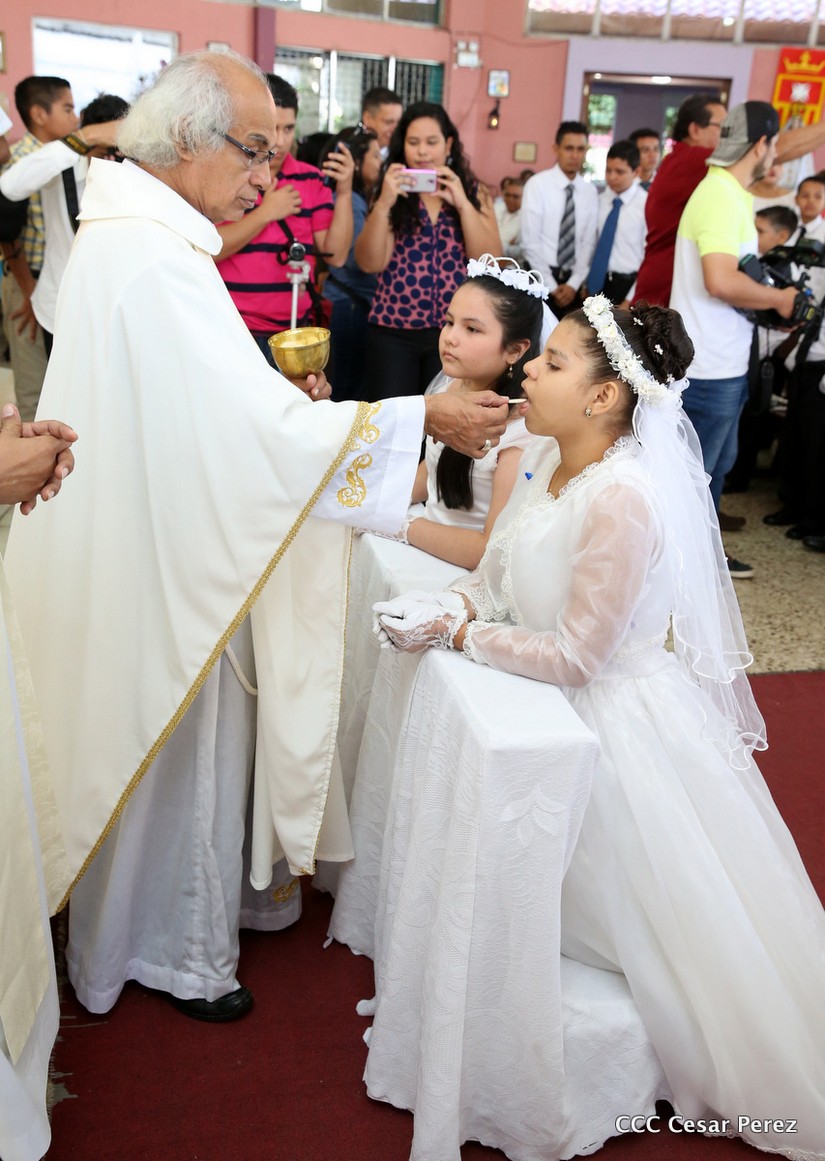 cardenal