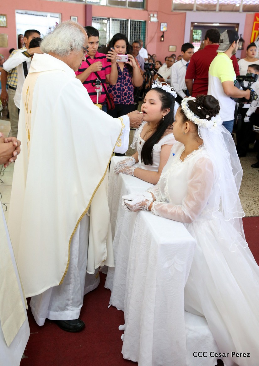 cardenal