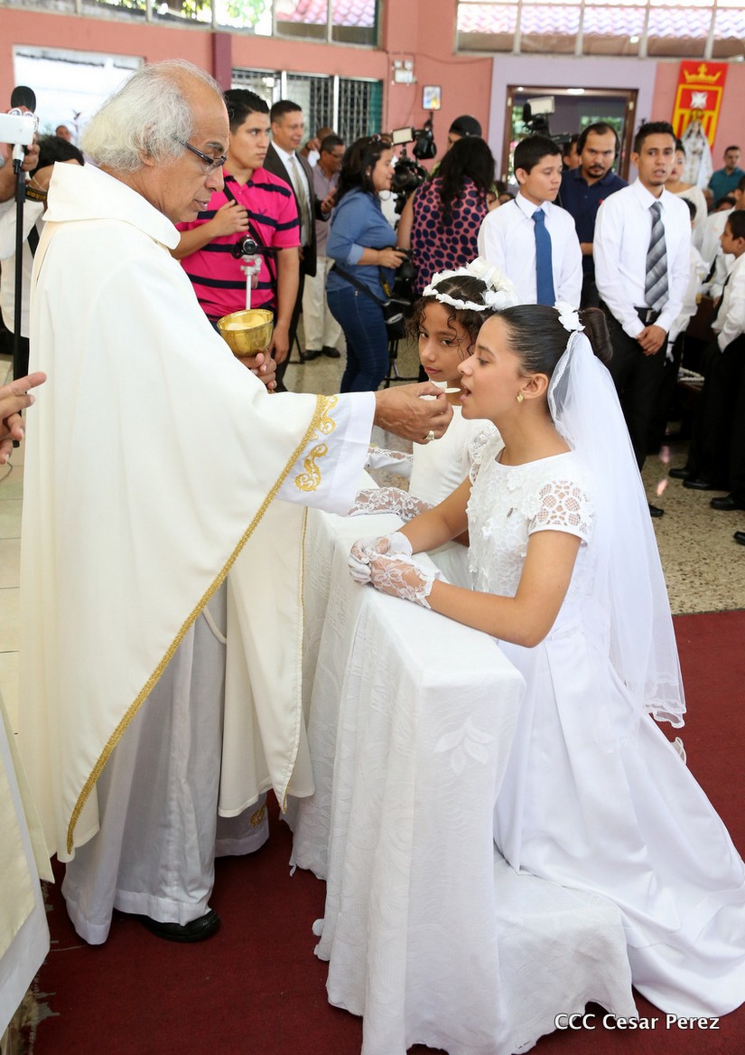 cardenal