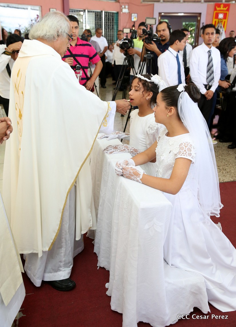 cardenal