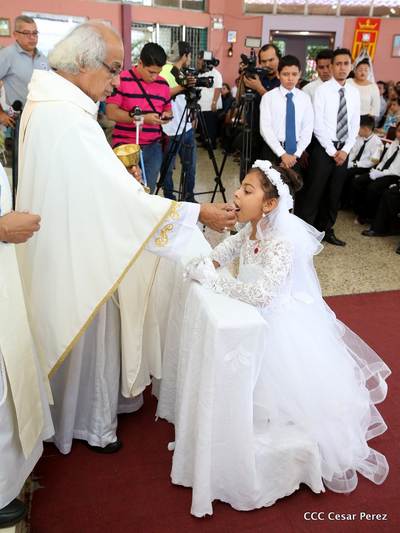 cardenal