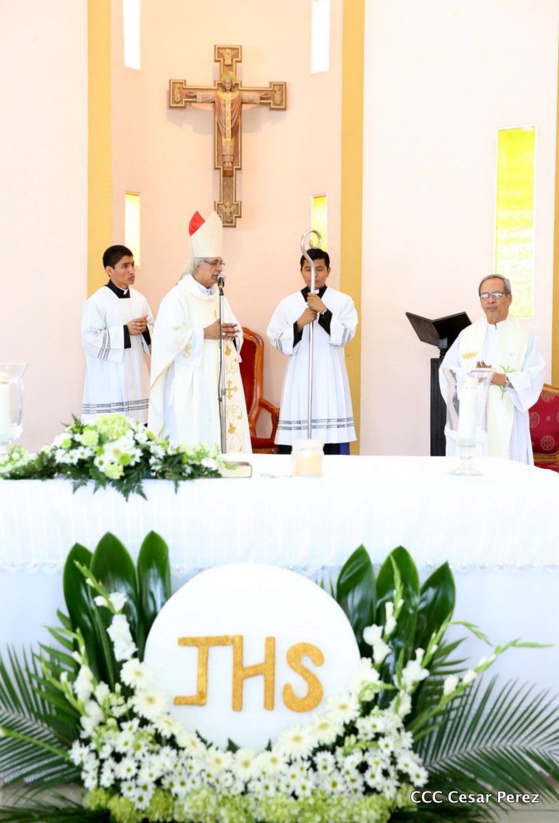 cardenal