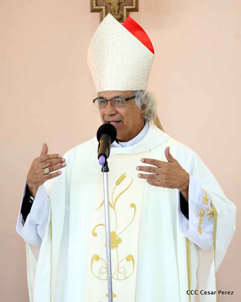 cardenal