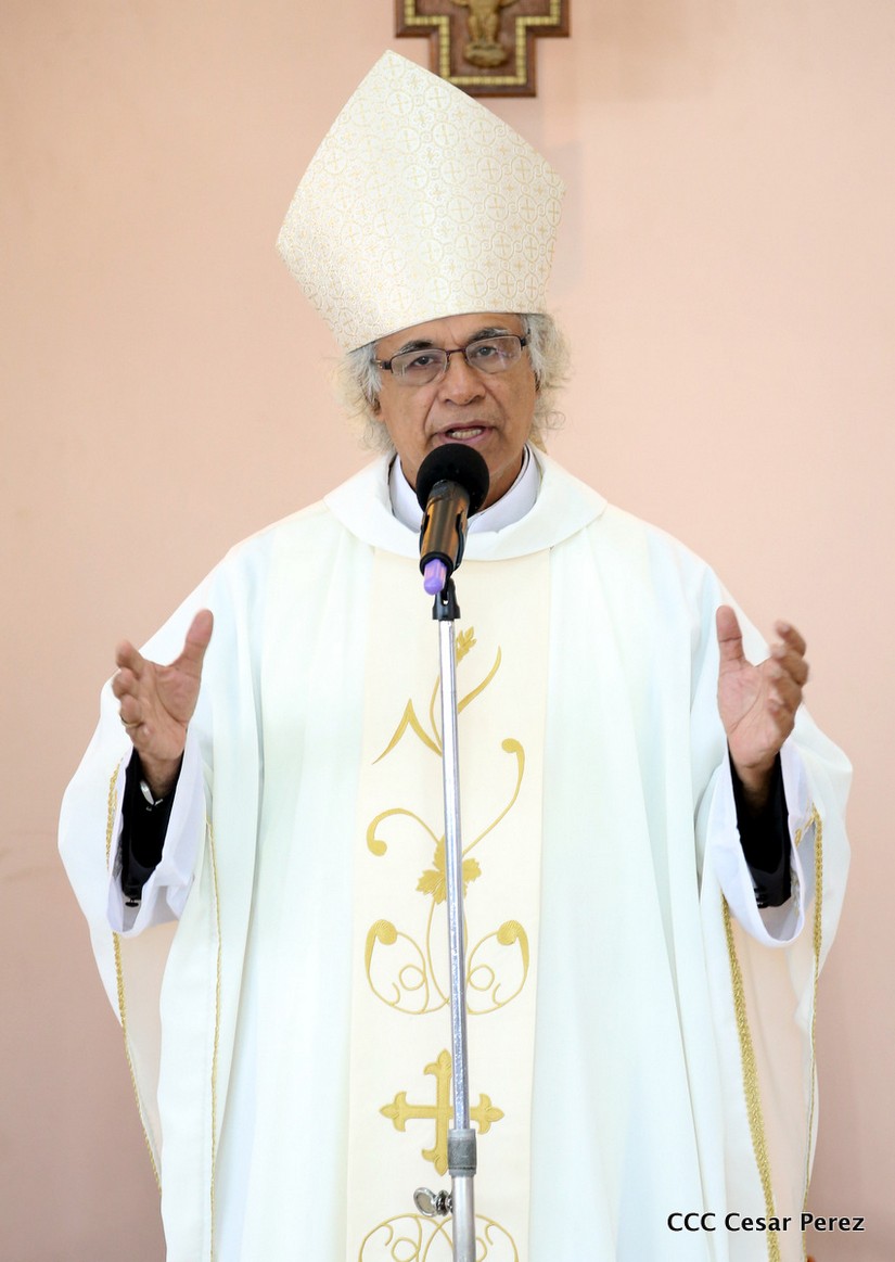 cardenal