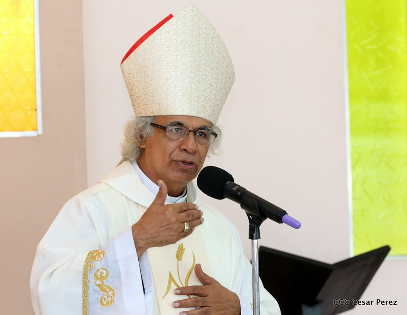cardenal