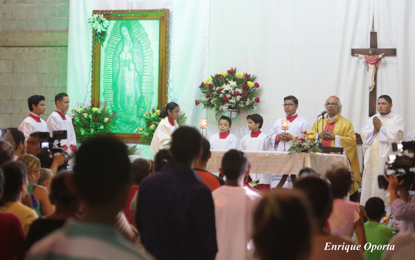 cardenal