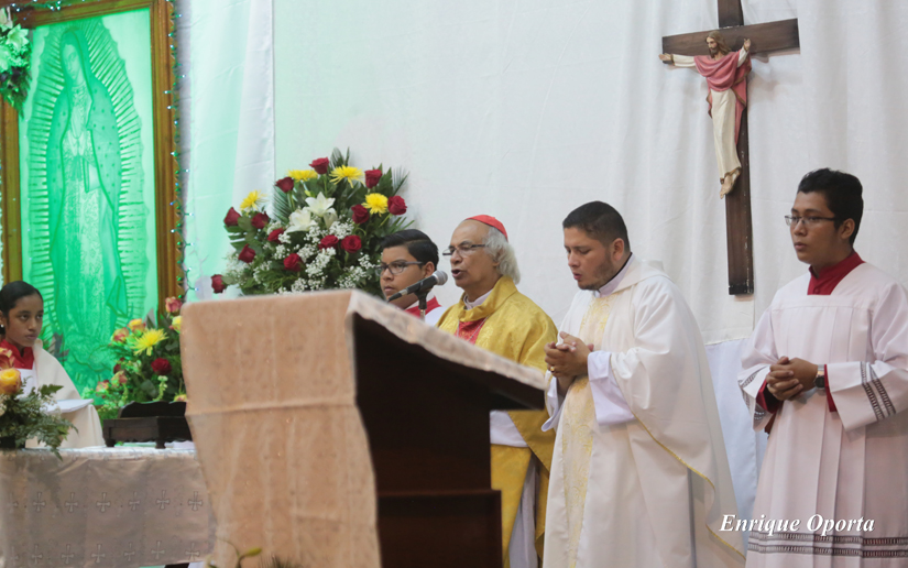cardenal