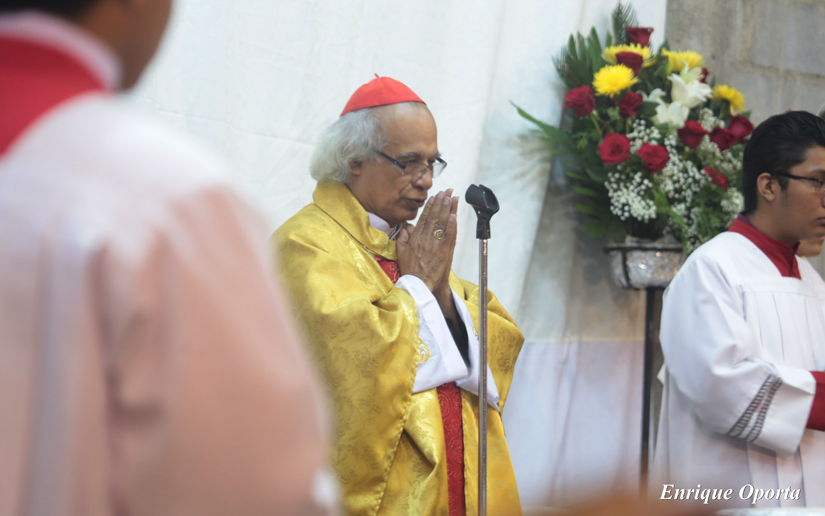cardenal