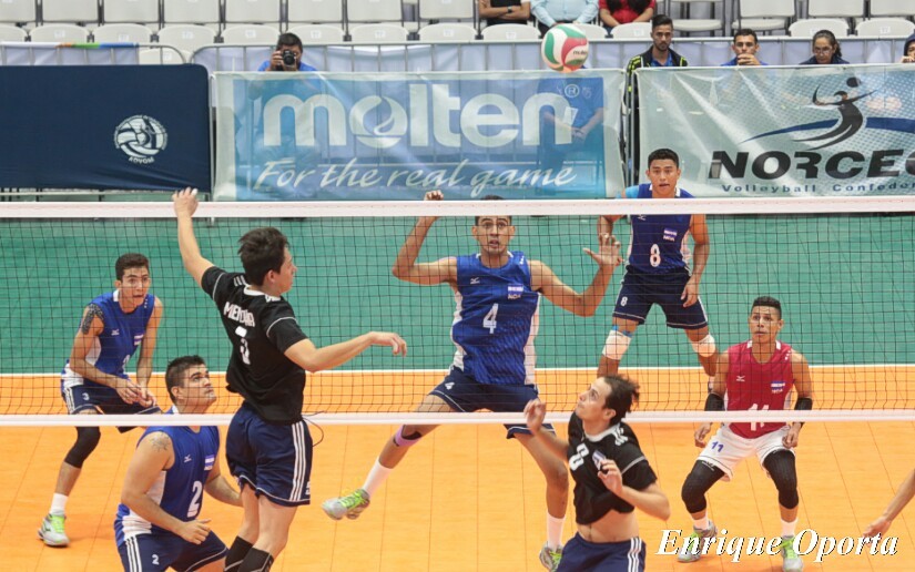 voleibol