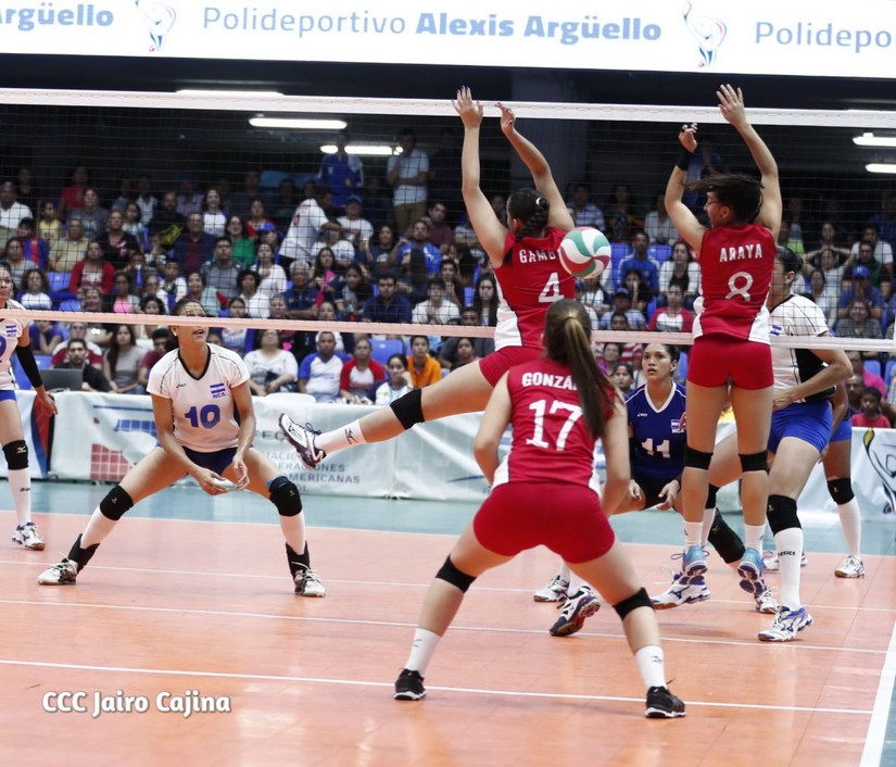 voleibol