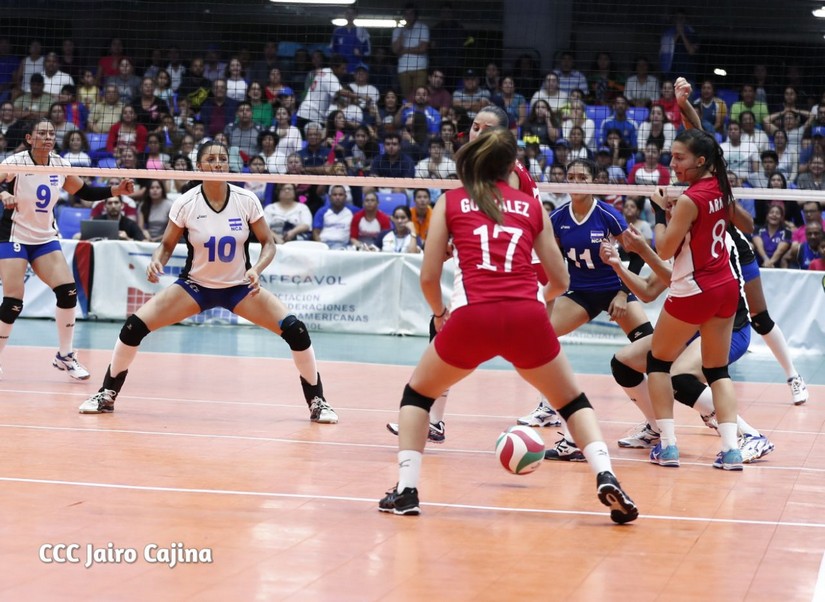 voleibol