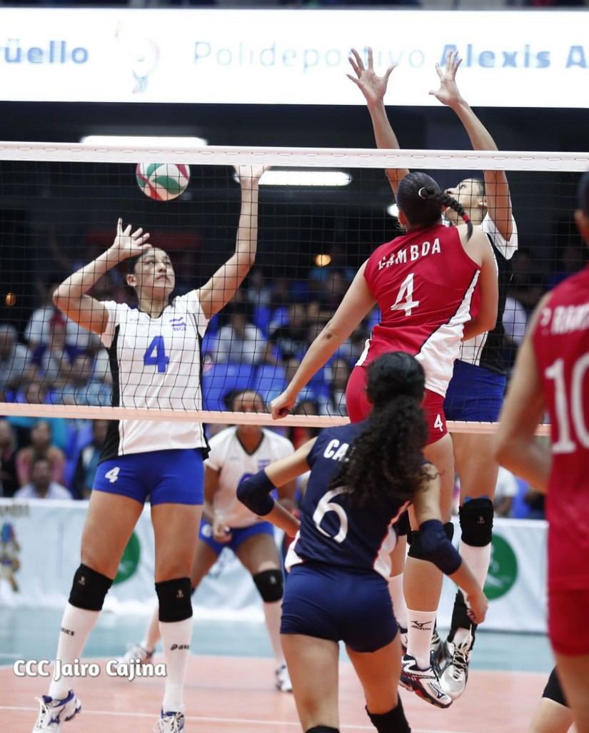 voleibol