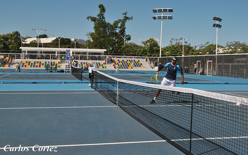 tenis